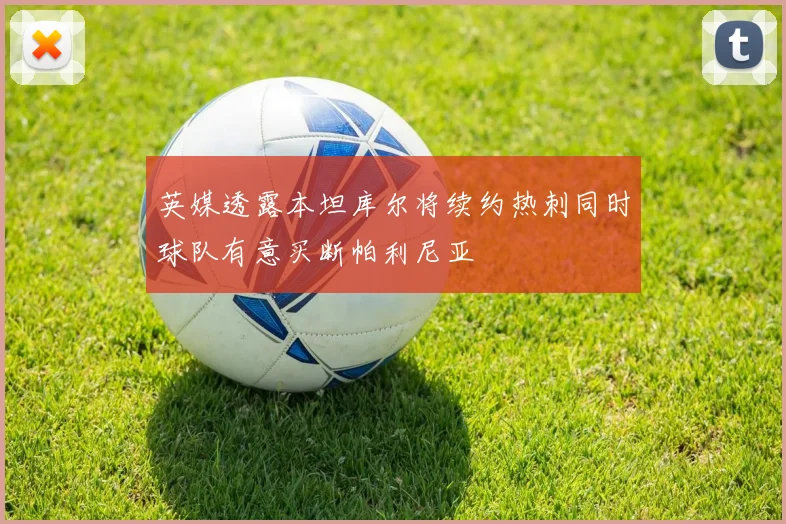 英媒透露本坦库尔将续约热刺同时球队有意买断帕利尼亚